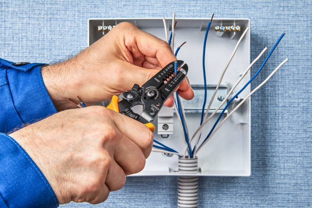 Best Electrical Panel Upgrades  in Albany, TX